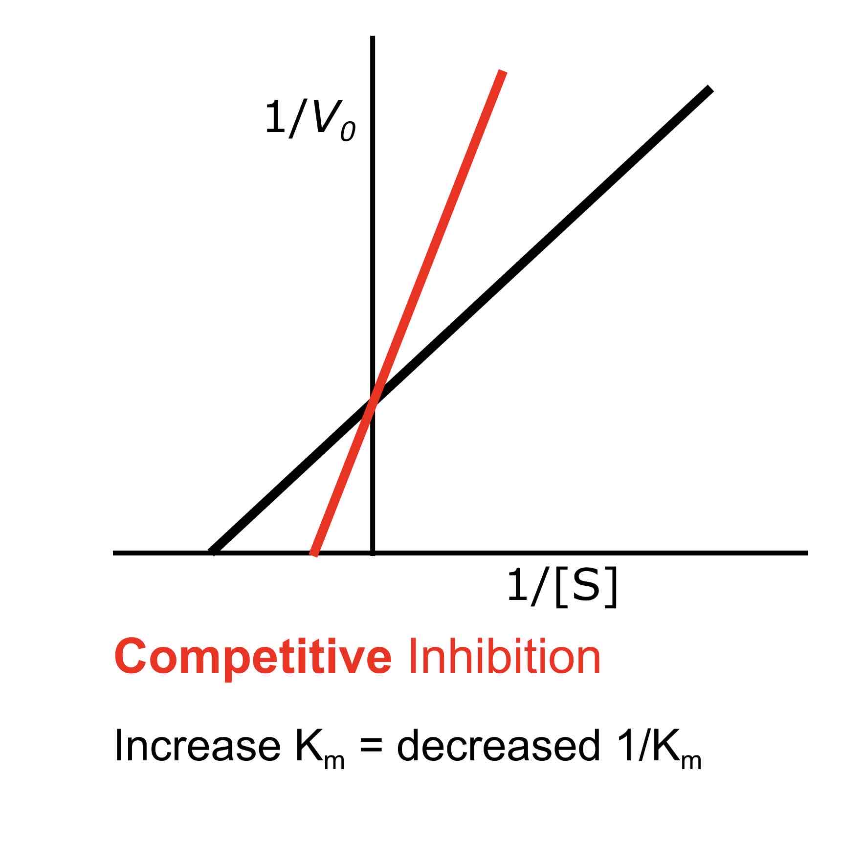 <p><span>Competitive inhibition does not affect Vmax; it remains the same because the maximum reaction velocity can still be achieved if enough substrate is present to outcompete the inhibitor.</span></p>