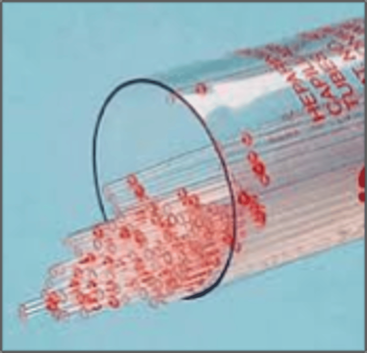 <p>A tube sufficiently fine so that capillary attraction of a liquid into the tube is significant.</p>