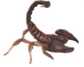 <p>ఇది ఏమిటి?</p>