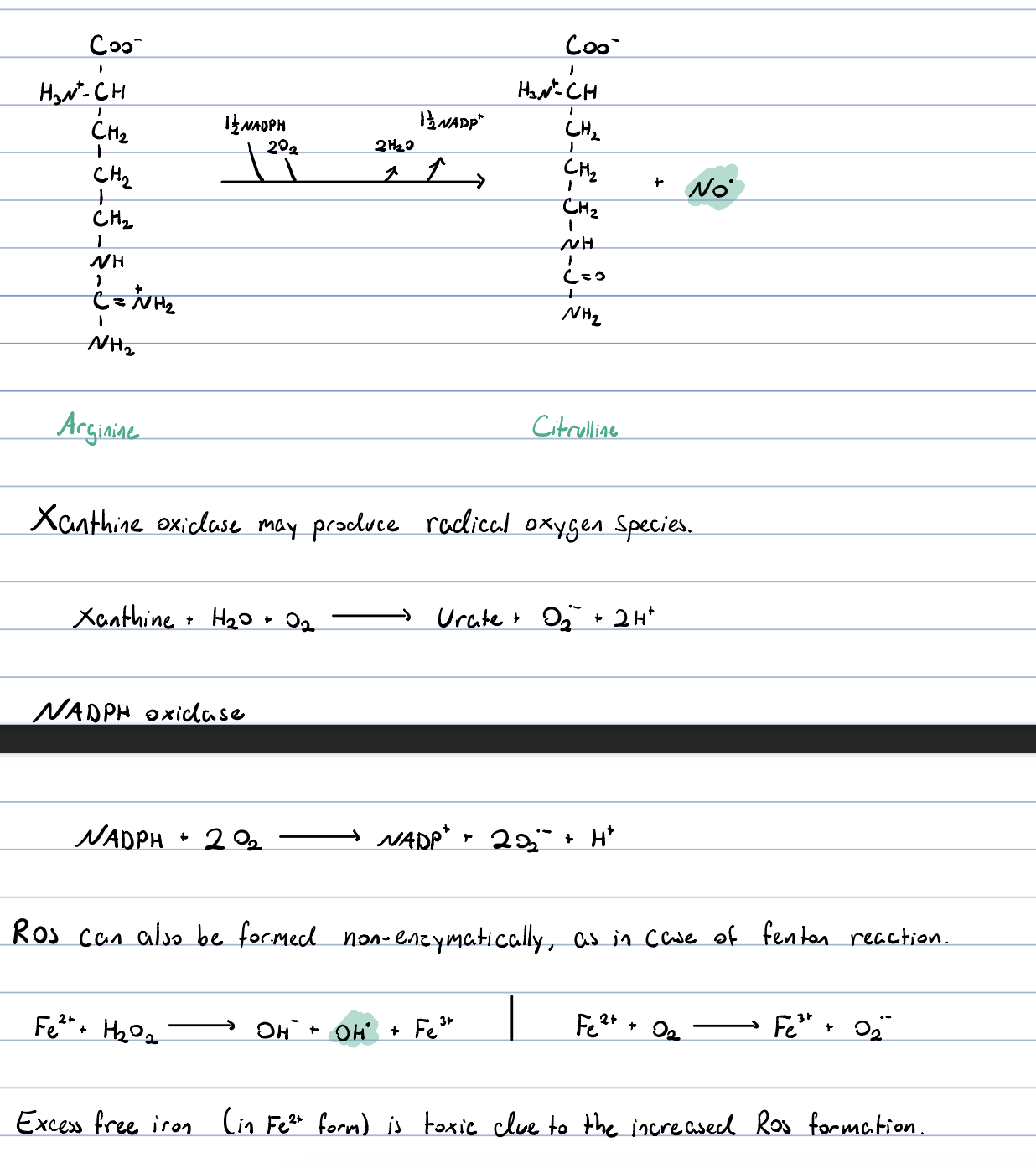 the source of ROS and RNS may be endgenous or exogenous

examples of exogenous sources are exposure to pollutants, heavy metals, certain drugs, smoking and alcohol

the endogenous ROS are produced by both physiologically important enzymes and by non-enzymatic reactions

most notably, O2⁻⋅ can be formed in the reactions of the complex I and III in the respiratory chain. semiquinone (QH) is a radical and can easily pass an electron to O2 forming O2⁻⋅. so in this case the ROS is a by-product of the respiratory chain

another enzyme forming a radical is NO-synthase. this enzyme is present in macrophages, neurons and is endothelium. NOS catalyzes arginine to citrulline reaction by releasing nitric oxide