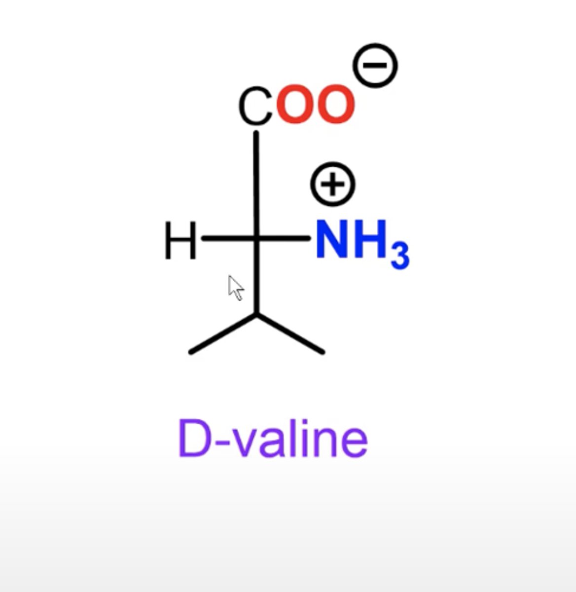 <p>amine is on right = D; on left = L</p>