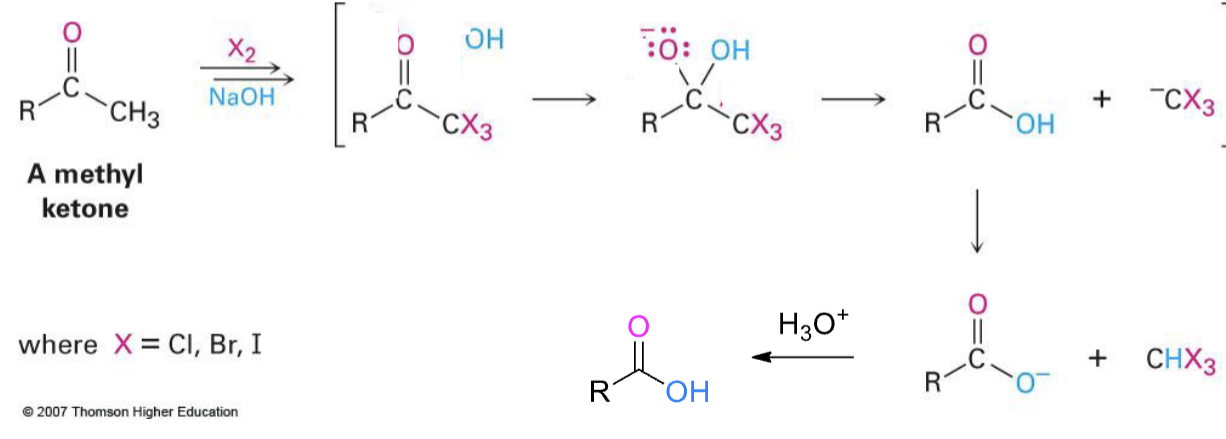 <p>methyl ketone that turns to COOH</p>