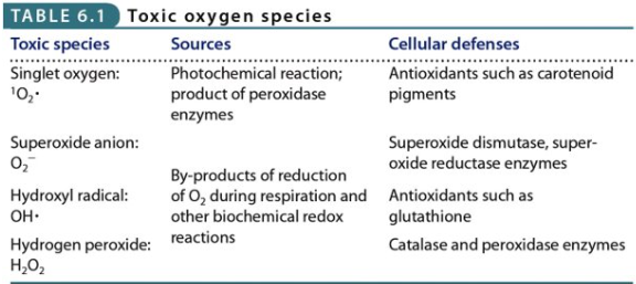 <p>Impact of O2 respiration on a cell depends on a cell’s available defenses.&nbsp;</p>