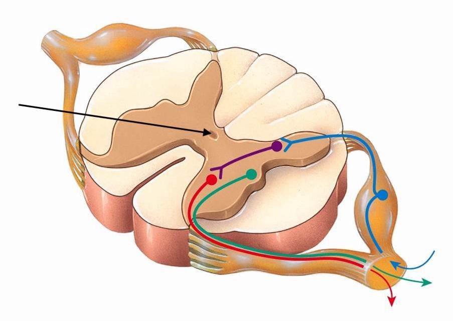 <p>What is this canal</p>