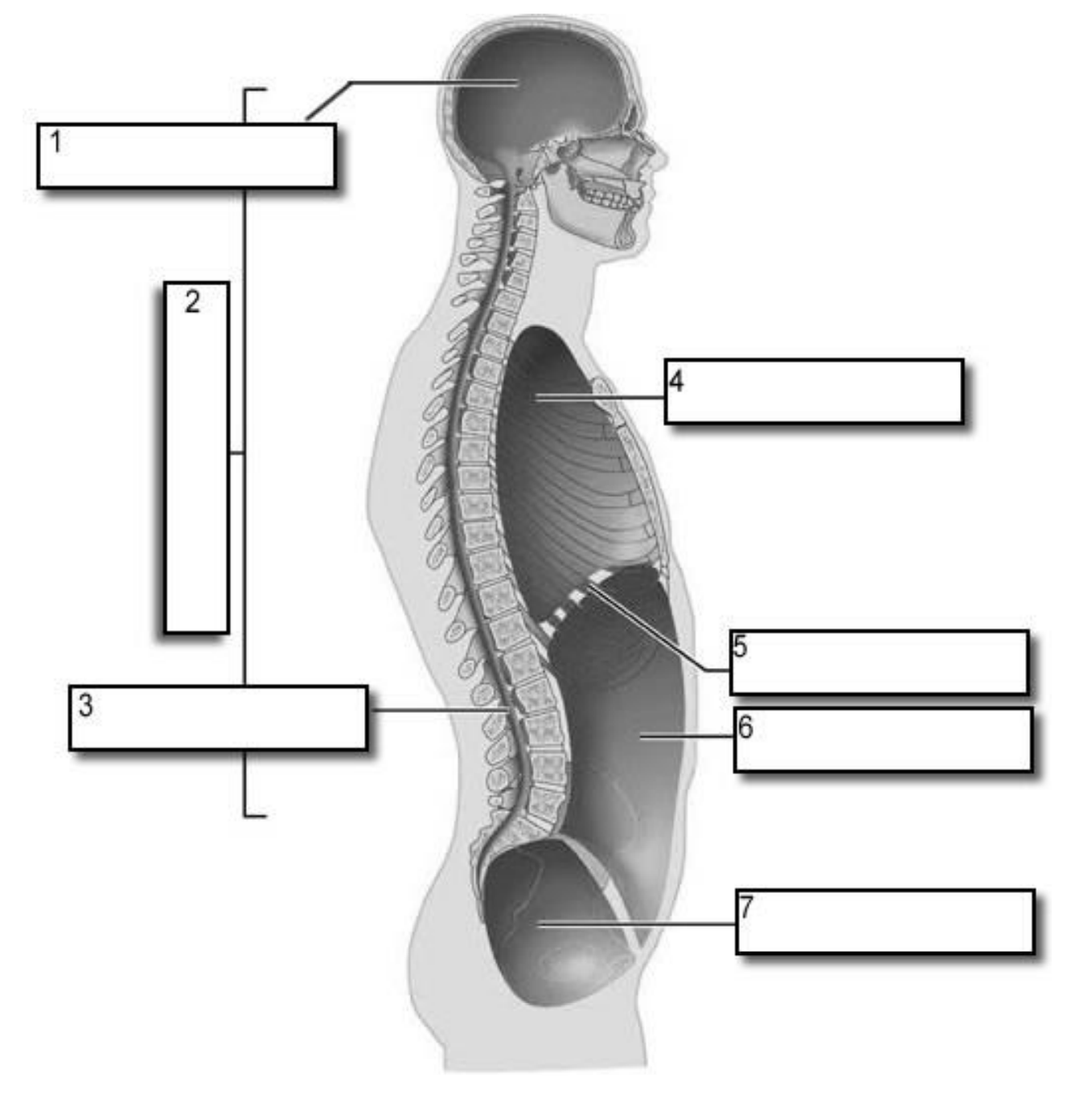 <p>2?</p>