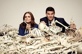 <p>Analysis of human skeleton remains for identification and understanding deaths </p>
