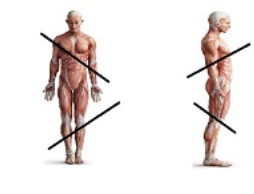 Diagonal; Between Vertical & Horizontal