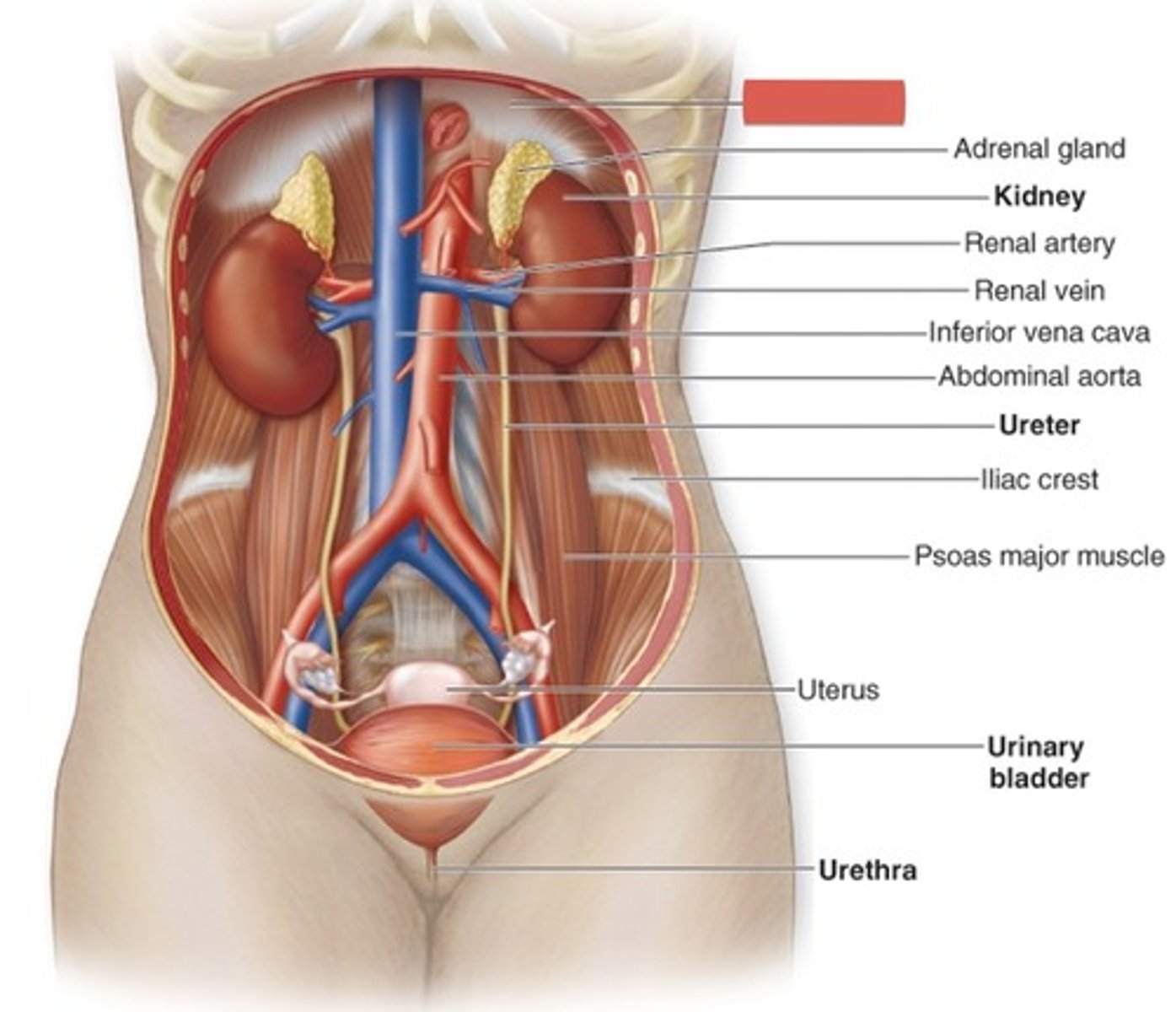 <p>What is this?</p>