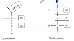 <p>C, H, O</p><ul><li><p>minstens 2 OH groepen</p></li><li><p>carbonylfunctie (dubbele O binding met C)</p></li></ul><p></p><p>telling (algemeen suikers):</p><ul><li><p><span style="background-color: transparent;">laagst mogelijke nummer aan C met OH gebonden. </span></p></li></ul><ul><li><p><span style="background-color: transparent;">bij C gebonden aan = O altijd 1</span></p></li></ul><p></p>