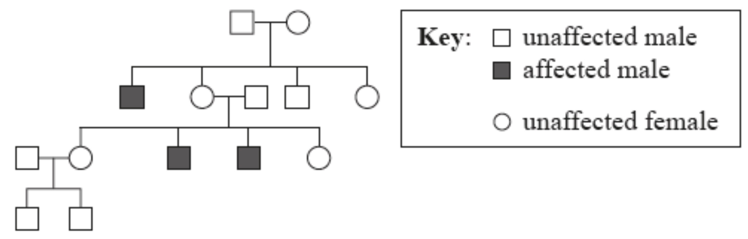 <p>What type of inheritance is shown in this pedigree chart?</p>