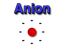<p>atoms or group of atoms that have a negative charge</p>
