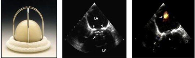 <p>what is this?</p>