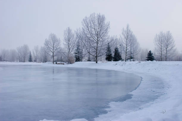 <p>When it is cold, the water in the lake _______s.</p><p></p><p>What is the verb?</p>