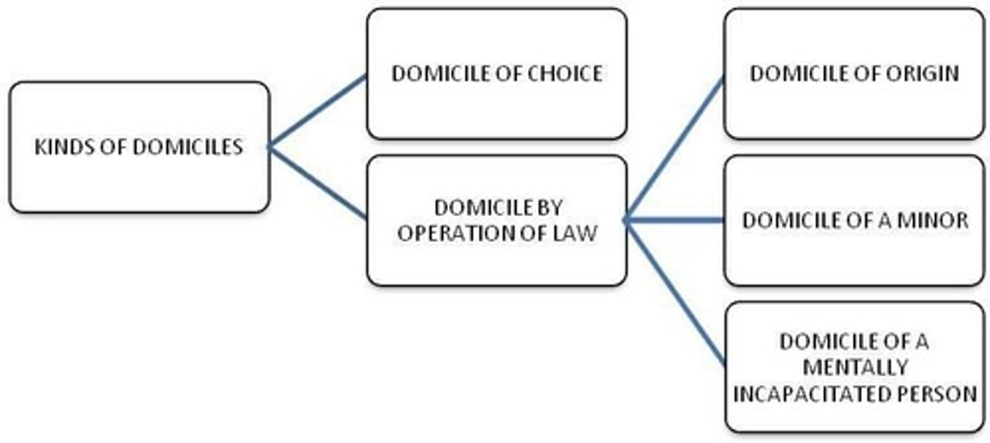 <p>Name, Surname, Student Number, and Module Code.</p>