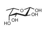 <p>Identify</p>