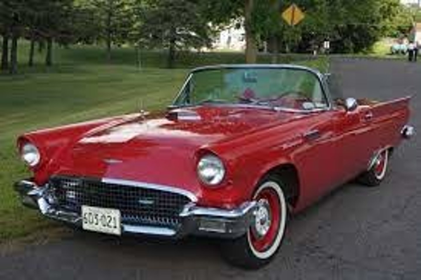 <p>Thunderbird</p>