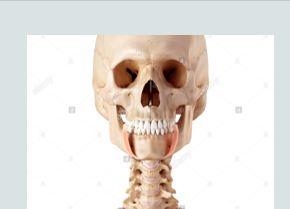<p>pulls corners of the mouth down (frowning)</p>