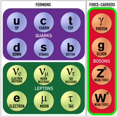 <p>W bosons - they have a non-zero rest mass, a short range of no more than 0.001fm, and are positively charged (W+ boson) or negatively charged (W- boson).</p>