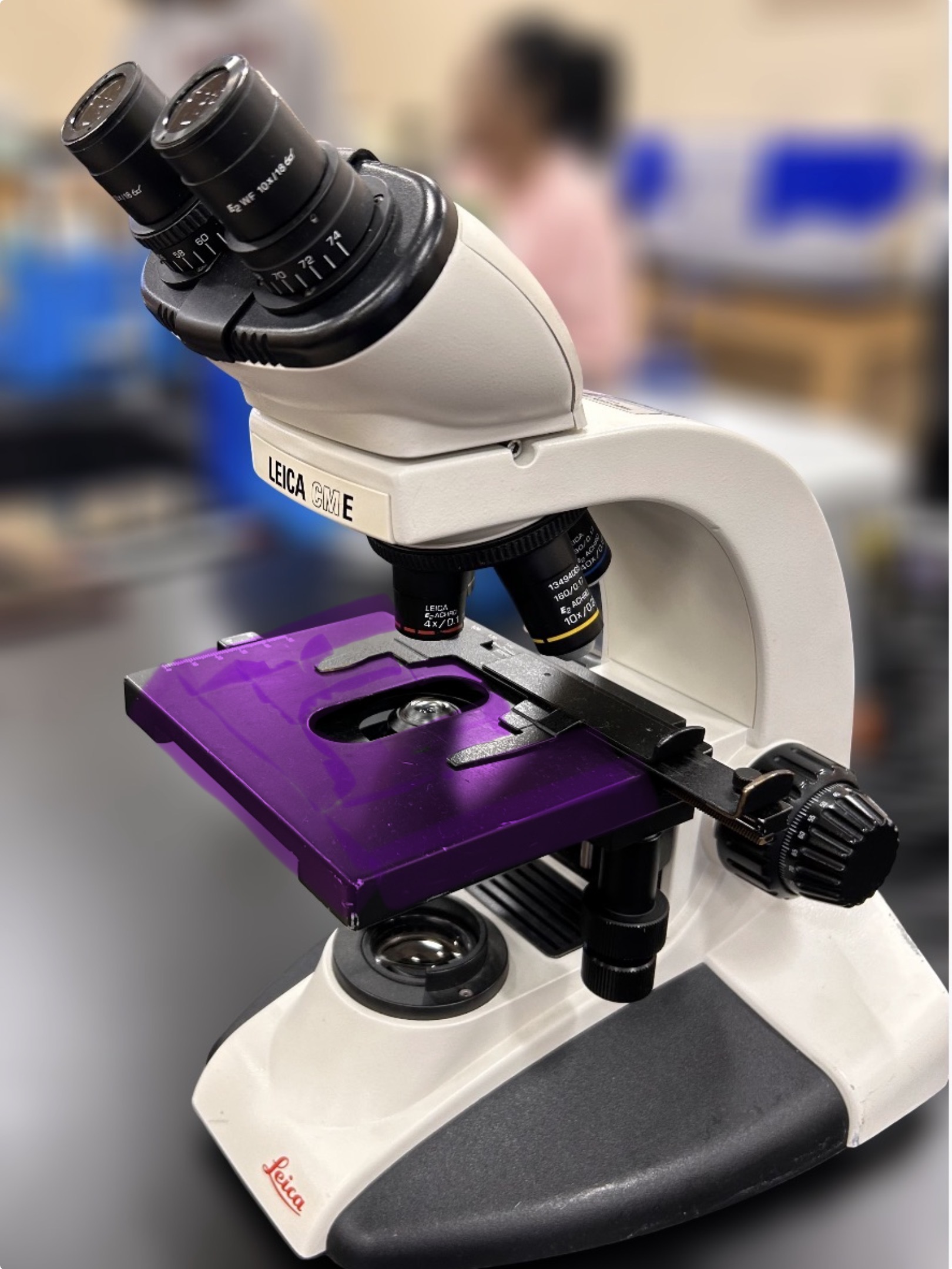 <p>Name the highlighted region.</p><p>Hint: where the object is placed to be viewed </p>