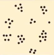 <p>what distribution is this?</p>