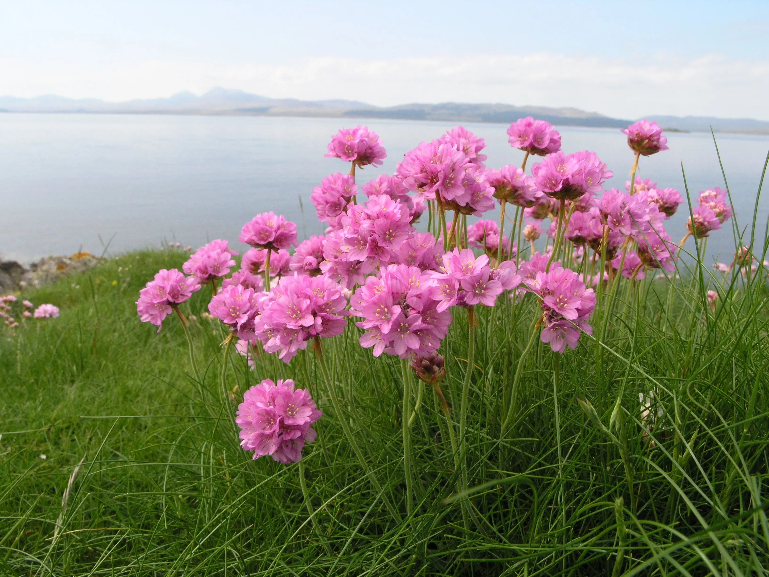 <p>Thrift</p>