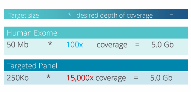 <p>-size of the capture</p>