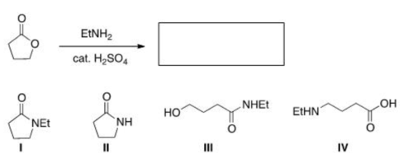 <p>C</p>