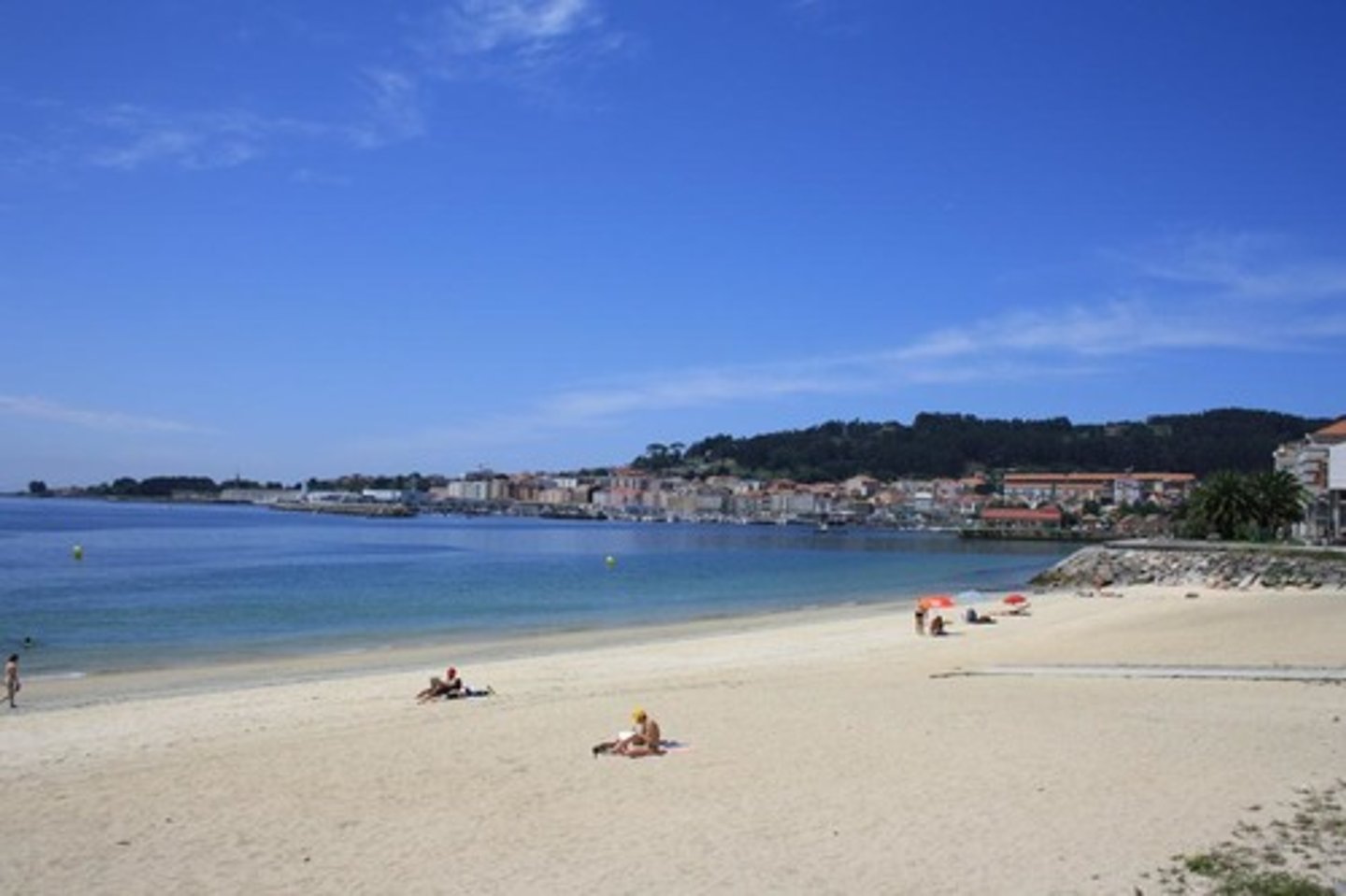 <p>summer</p>