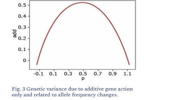 <p>each gene enhances trait expression</p><p>aabb=0, Aabb=1, AAbb=2, AABb=3, AABB=4</p>