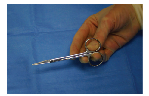 <p>Nickname: Iris</p><p>Use: Cuts delicate tissue, fine gauge suture, and thin steri-strips</p><p>Features: Straight, sharp jaws with dual points</p>