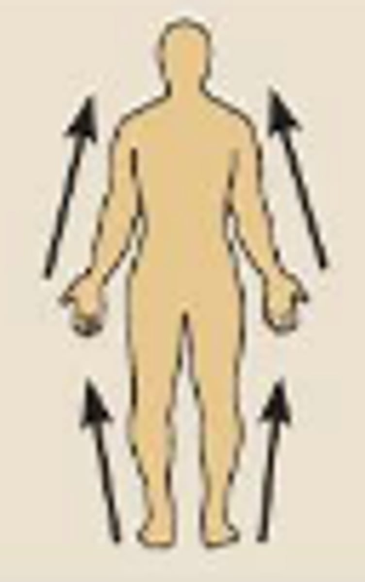 <p>Closer to the point of attachment</p>