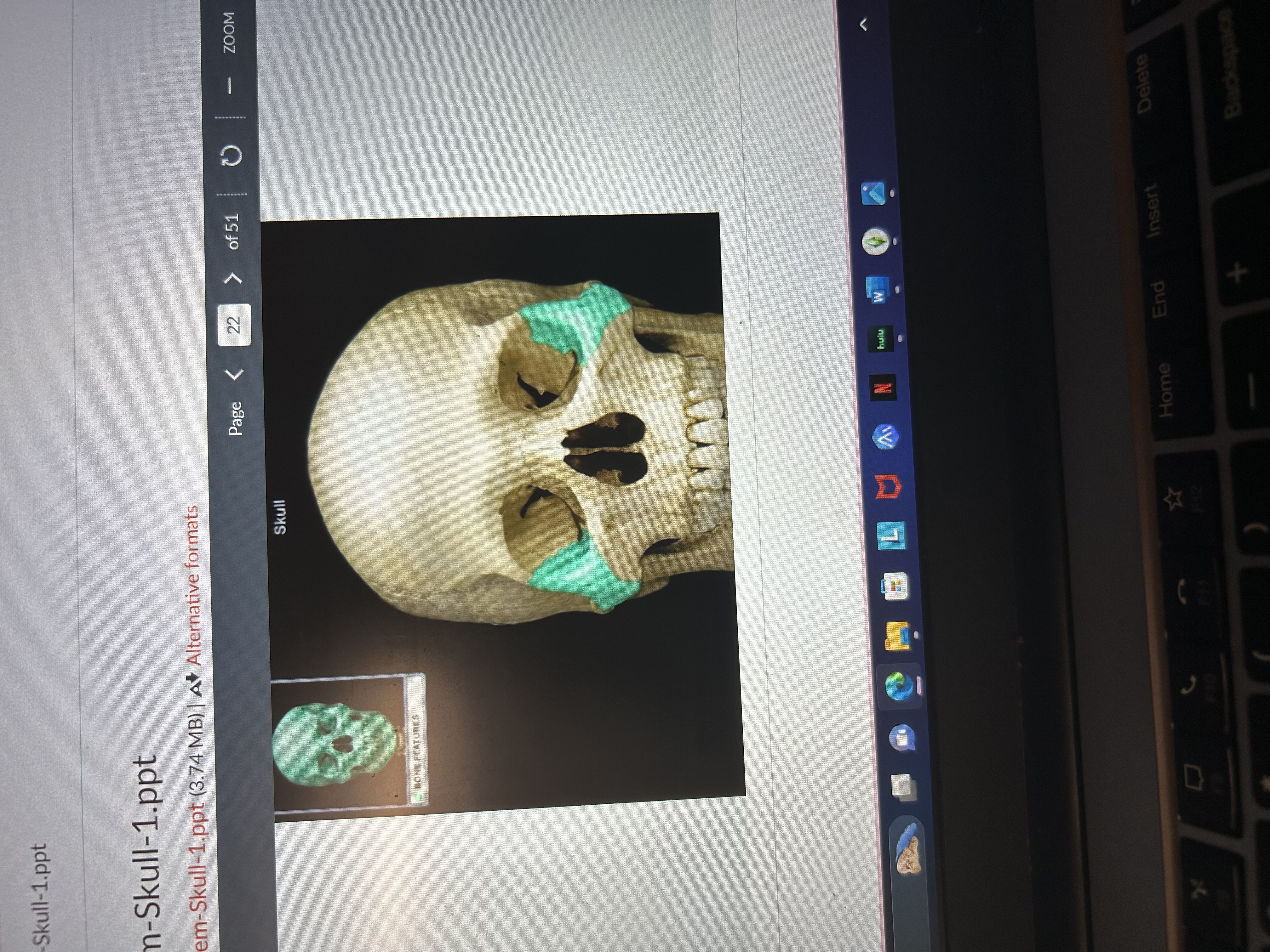 knowt flashcard image