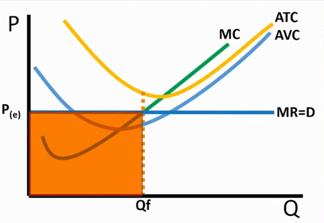 <p>Square from price and Q max </p>
