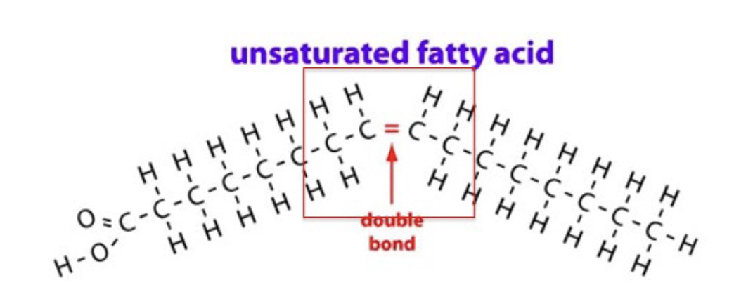 <p>unsaturated fats</p>
