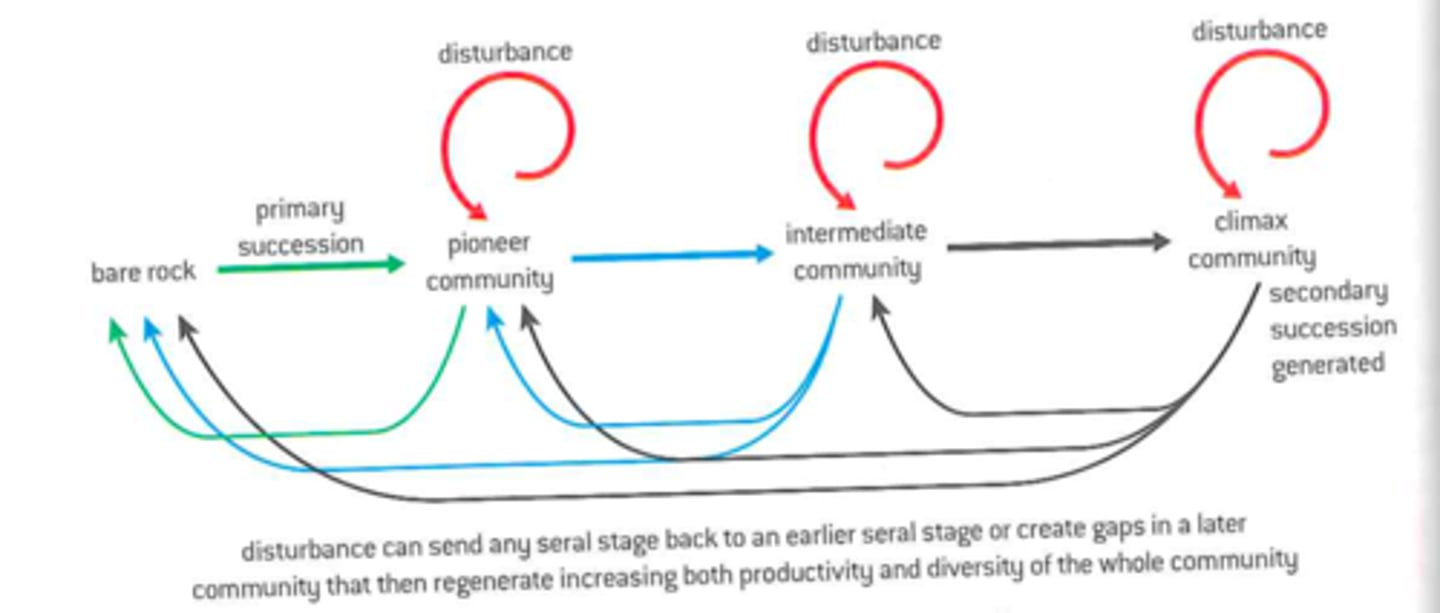 <p>An event, such as storm, fire, flood, drought, overgrazing or human activity, that changes a community and alters resource availability.</p>