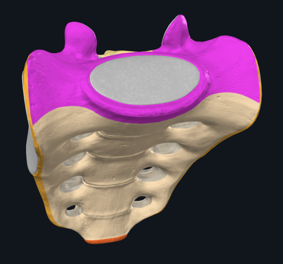 <p>Location of PURPLE:</p>