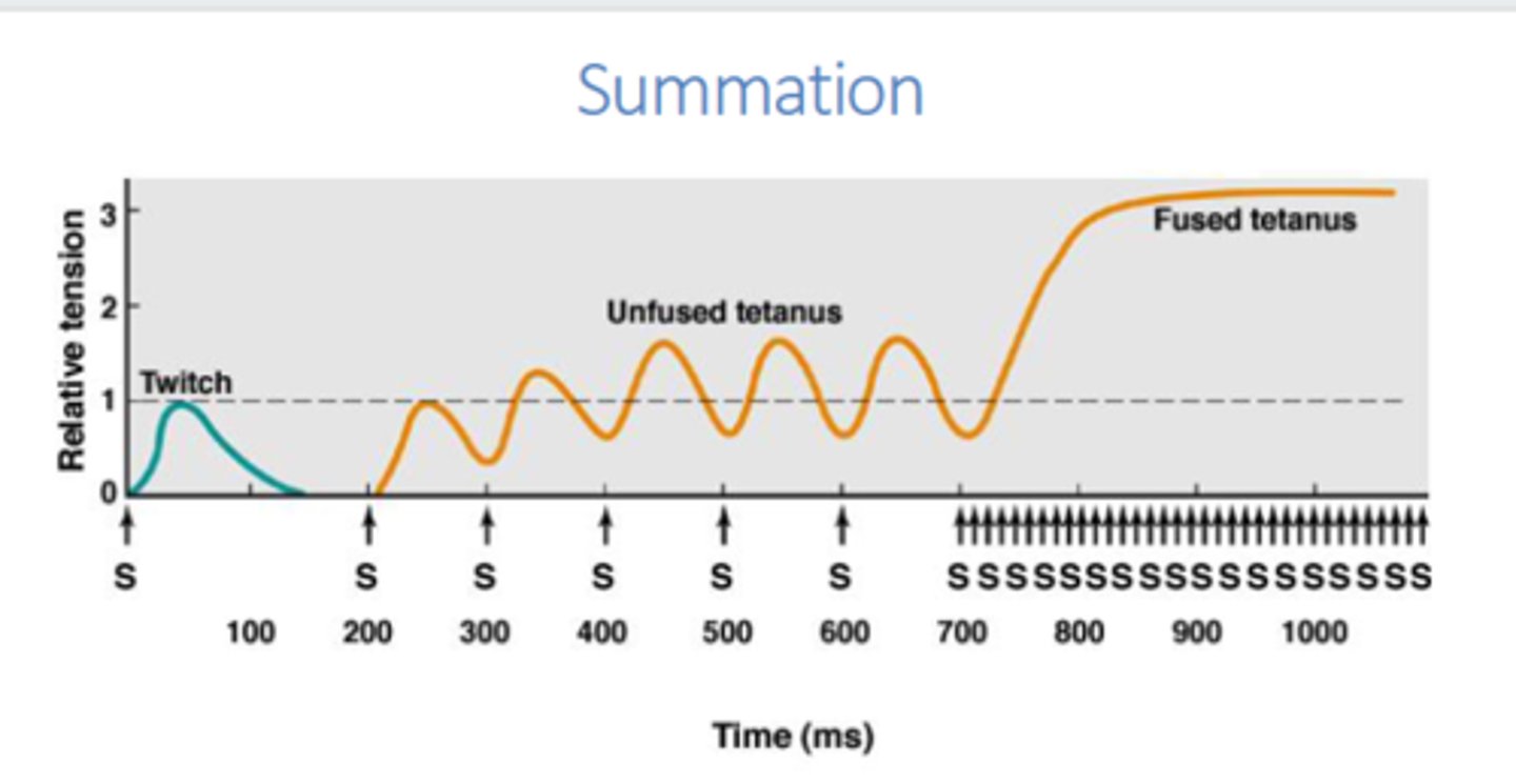 <p>What is this contraction?</p>