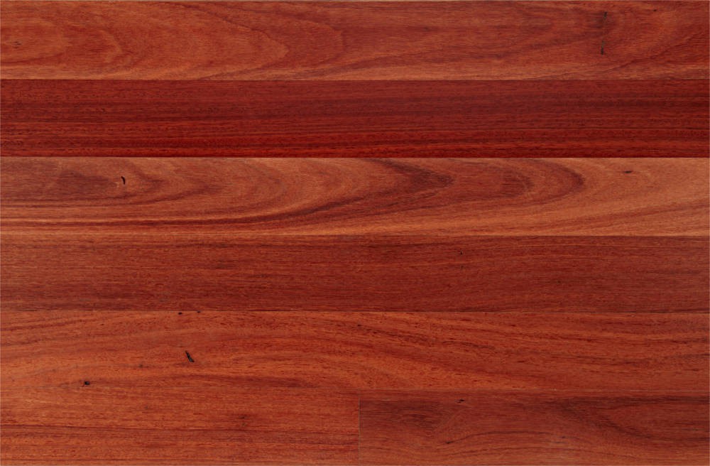 <p>Hardwood</p>