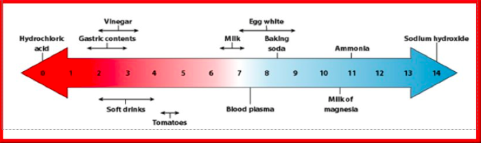 <p>pH Scale</p>