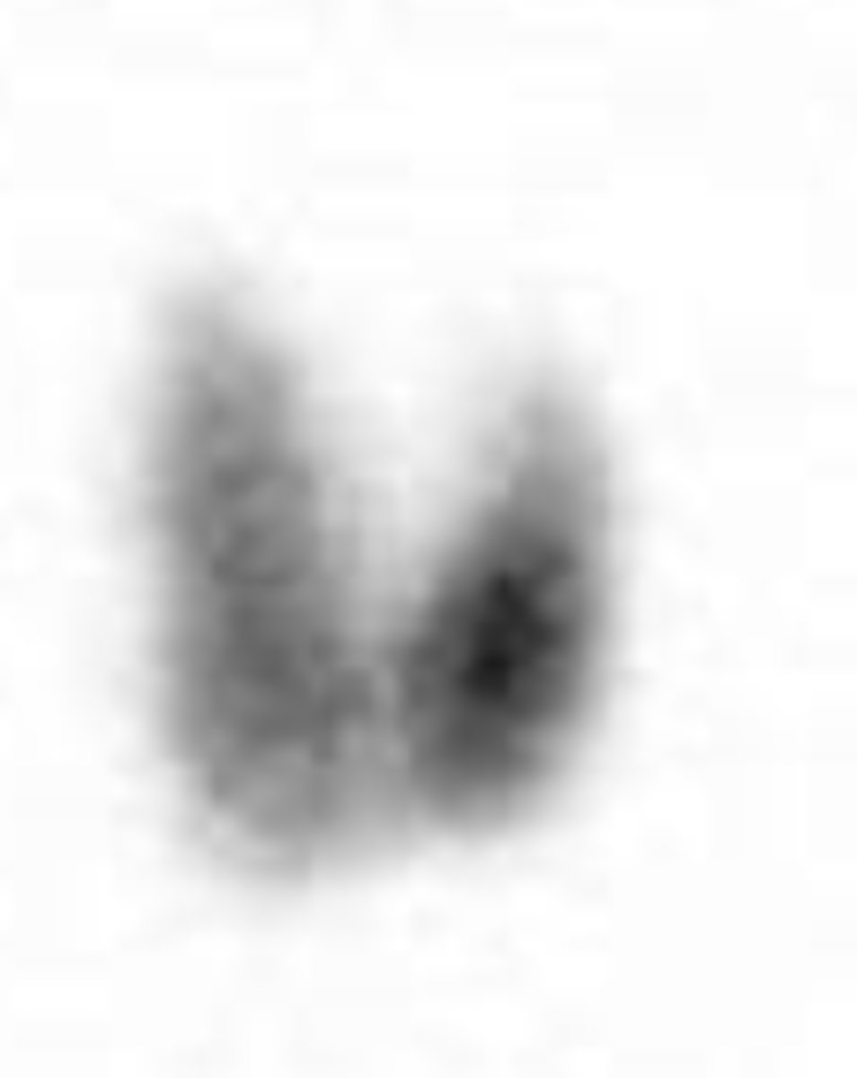 <p>What image view is this?</p>