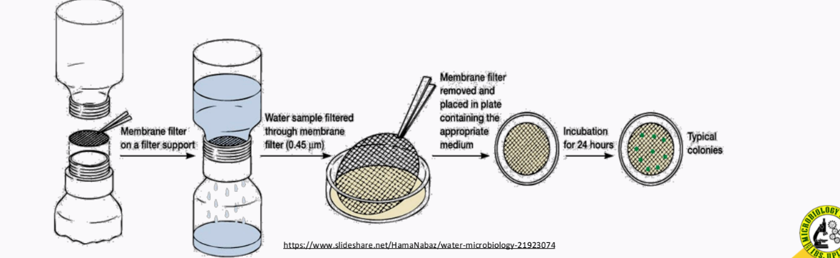 <p>_______________ - an isolation technique that is used for samples with low population</p>