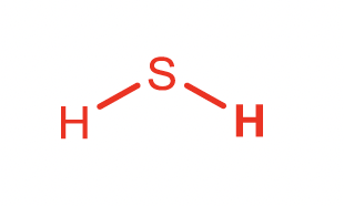 <p>Hydrogen Sulfide</p>