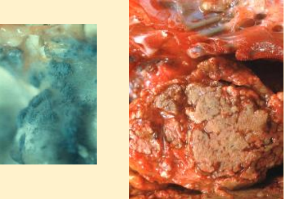 <p>What does this image show?</p>