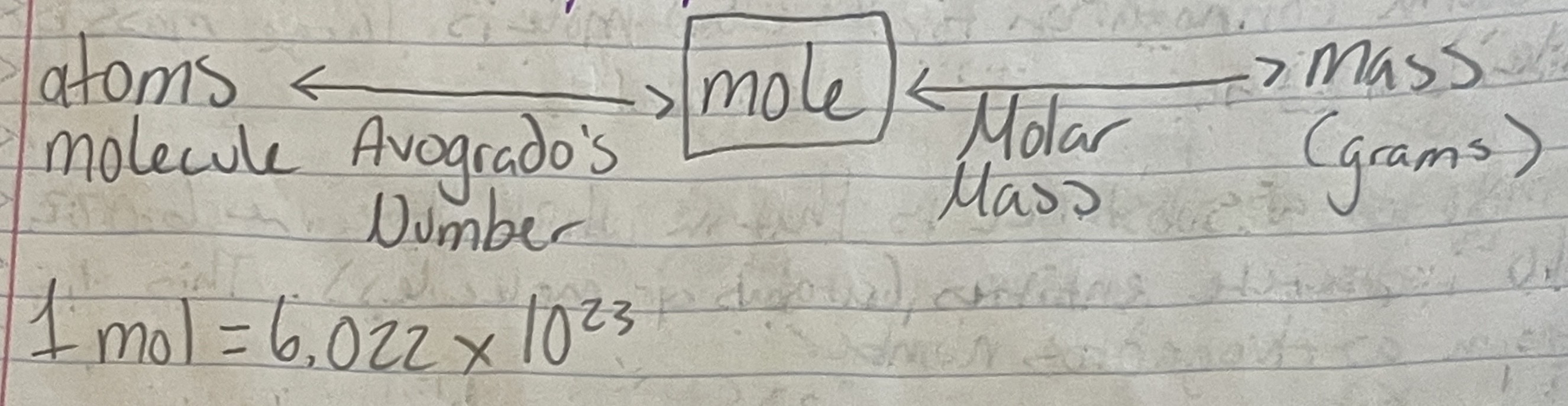 <p>When going from Atoms to Mass, use the following pathway (SEE IMAGE). If you want moles from atoms, use avogadro’s number, if you want mass (g) from moles, use molar mass (vice-versa).</p>
