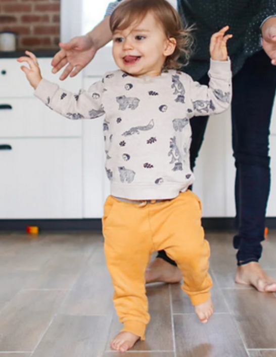 <p><strong>Transitional Infancy, 10-12 mo,</strong> <span style="color: purple;">Milestones</span></p>