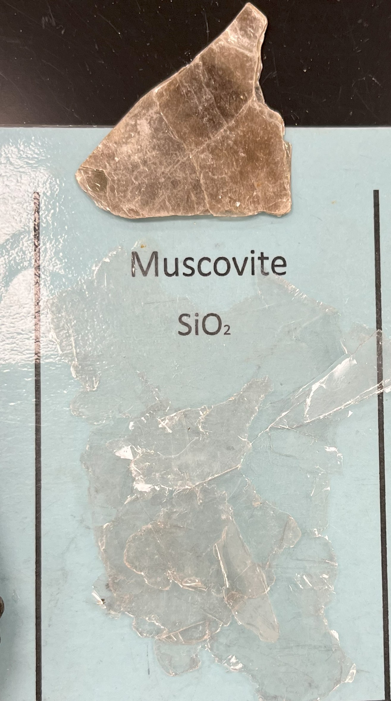 <p>Muscovite </p>