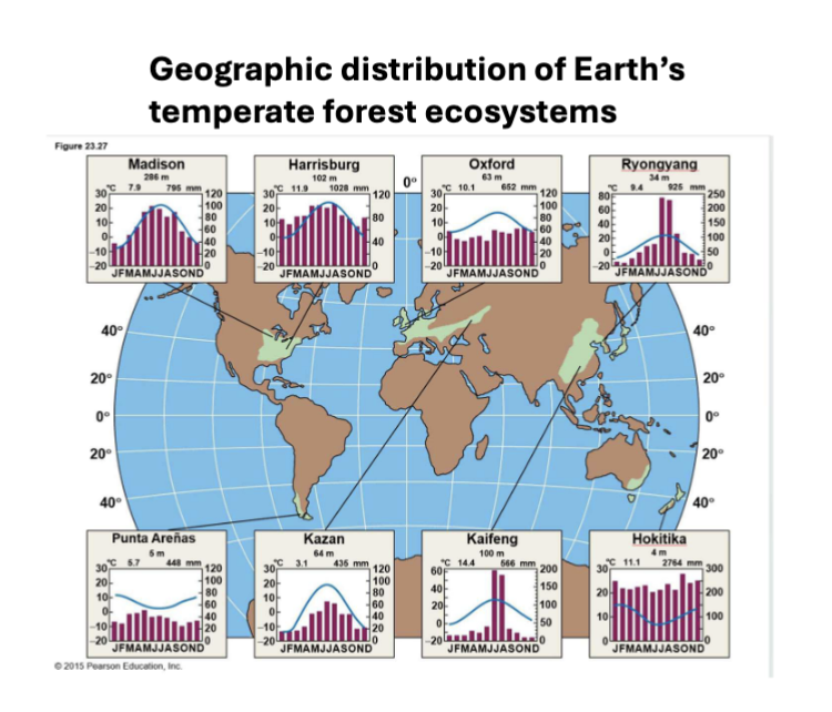<p>Temperature Deciduous Forest - Climate &amp; Location</p>
