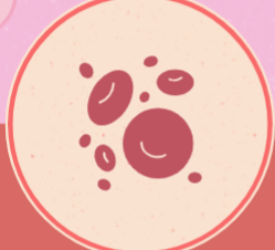 <p>cell body</p>