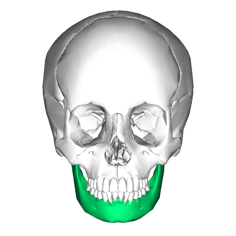 <p>what bone is this?</p>