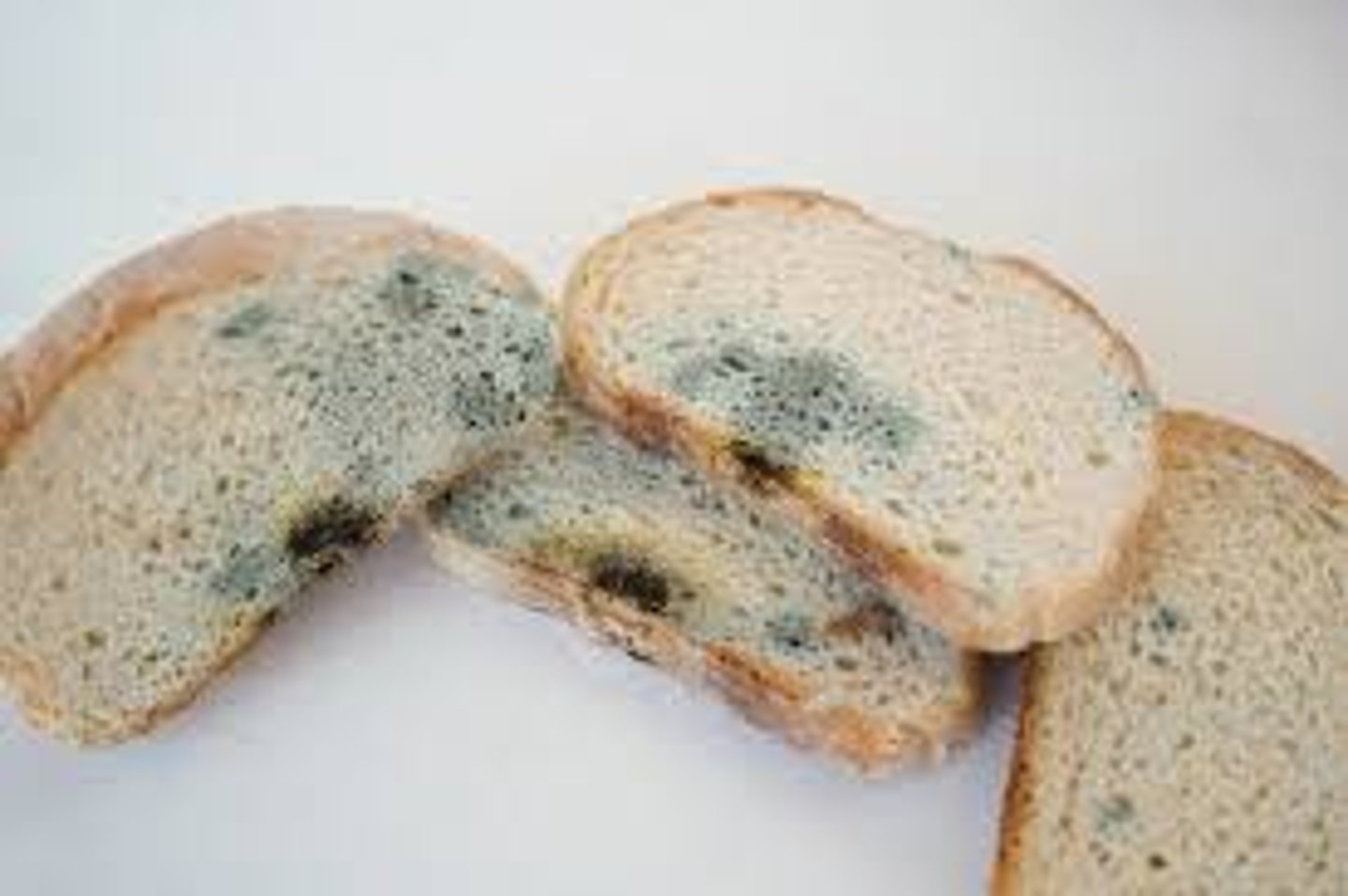 <p>mốc</p>
